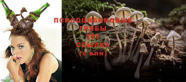 мяу мяу кристалл Арсеньев